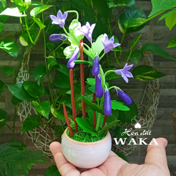 Hoa Đất Sét Mini- Cà Tím