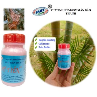 Keo liền da cây - Keo liền sẹo Mỹ Tiến lọ 100g