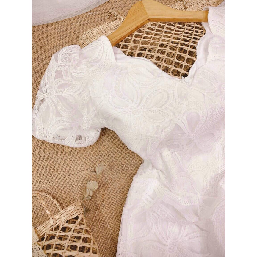 ĐẦM VÁY REN NƠ CỔ LƯỢN - Hình Shop Chụp