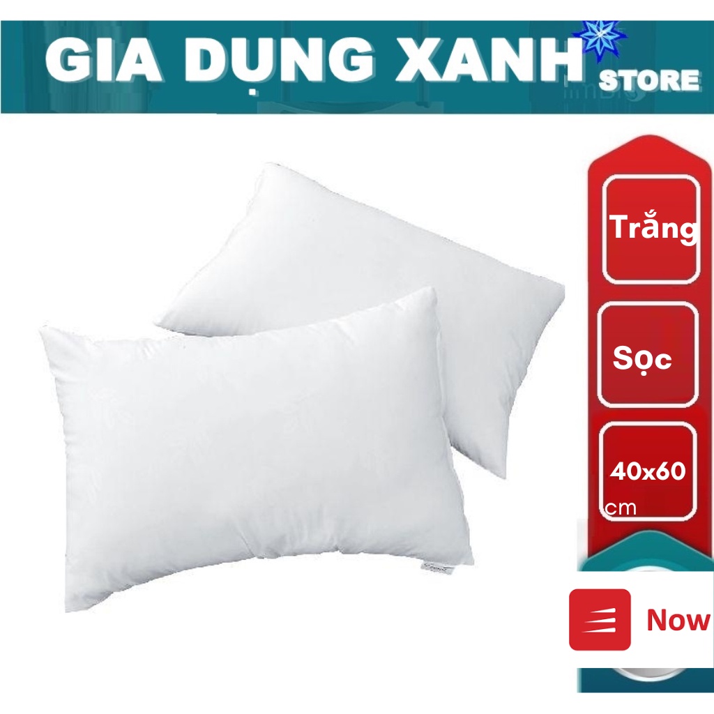 COMBO 2 RUỘT GỐI NẰM 40X60CM - Hàng chính hãng