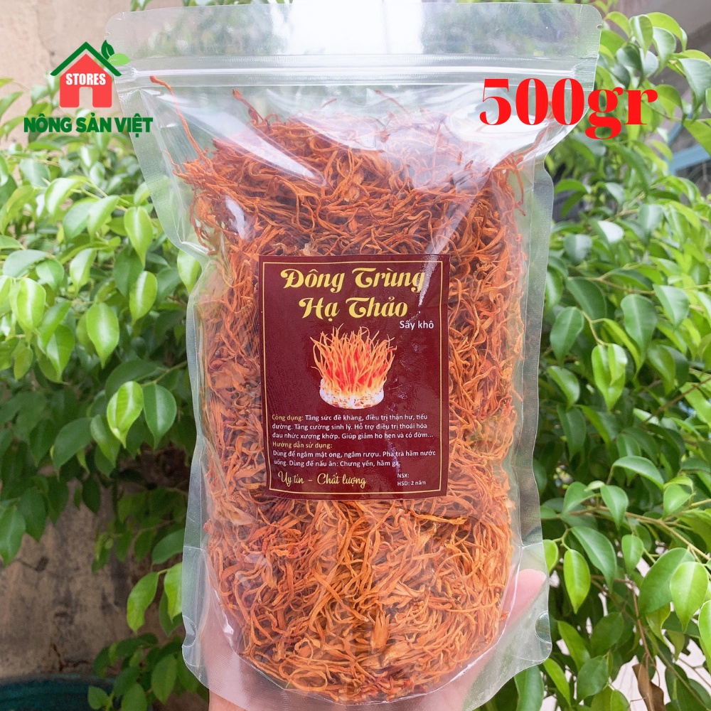 Đông Trùng Hạ Thảo Sấy Khô Sợi To Hàng Cao Cấp 500gr