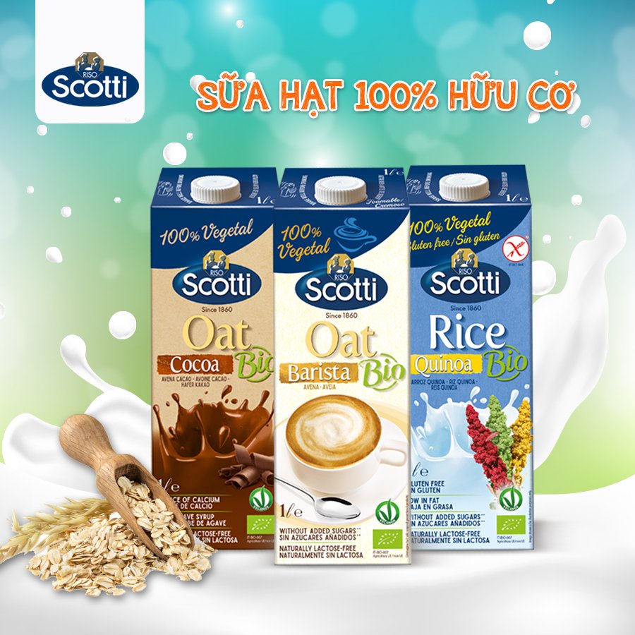 Sữa hạt hữu cơ nhập khẩu Ý, không gluten, không đường lactose, thuần chay Riso Scotti hộp 1L