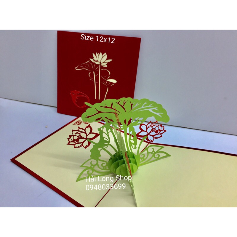 Hoa Sen - Lotus - Flower  - Thiệp 3D