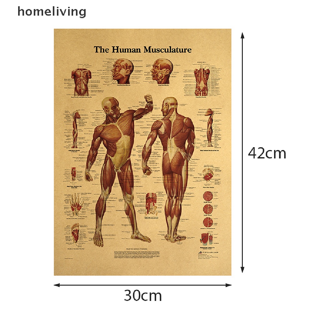 Áp Phích Trang Trí Nội Thất Hình Cột Cột Xoay Người Giải Phẫu Đầu Gối Nghệ Thuật