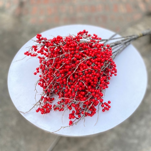 Đào Đông thân cổ phủ phấn cắm bình hoa trang trí Decor không gian siêu đẹp