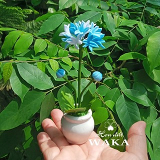 Hoa Đất Sét Mini- ALIUM