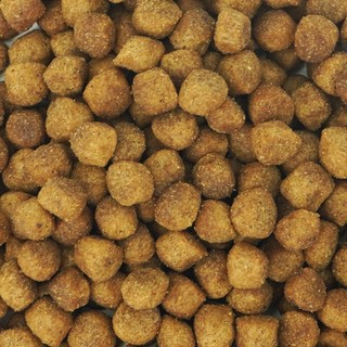[NEW] Hạt Mềm Cho Chó ANF SOFT (Hàn Quốc) 1.2KG - Cho Chó Mọi Lứa Tuổi