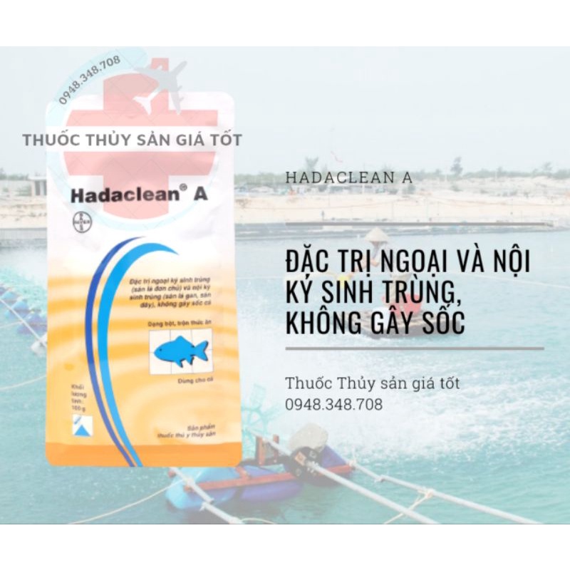 HADACLEAN A CHO CÁ_GÓI NHỎ 100G