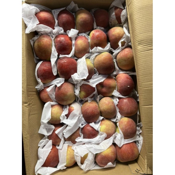 Táo đá giòn ngọt