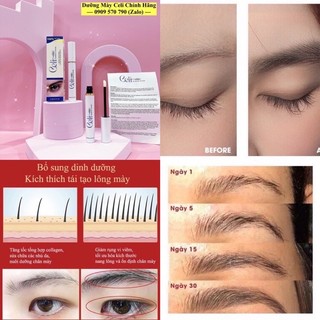 DƯỠNG DÀI MÀY CELI MỸ
