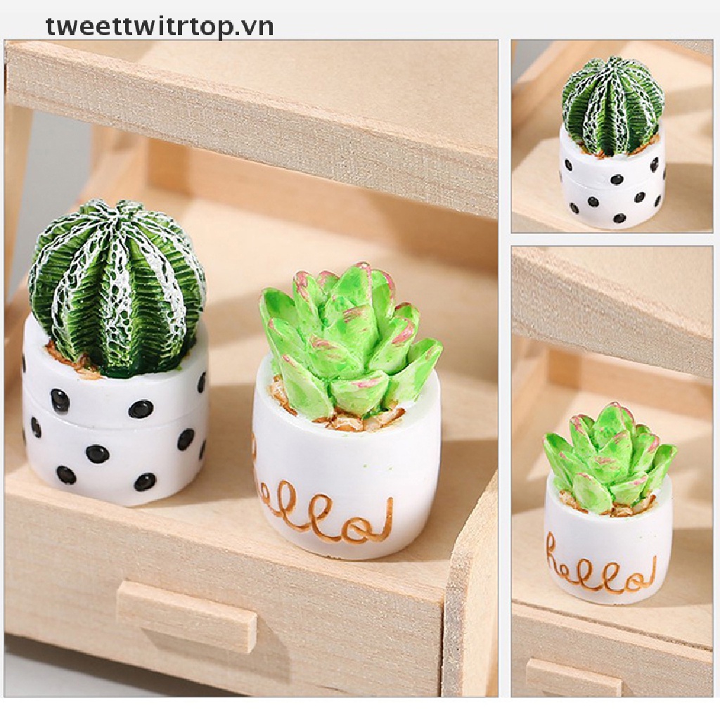 Chậu Cây Xương Rồng Mini Trang Trí Nhà Búp Bê