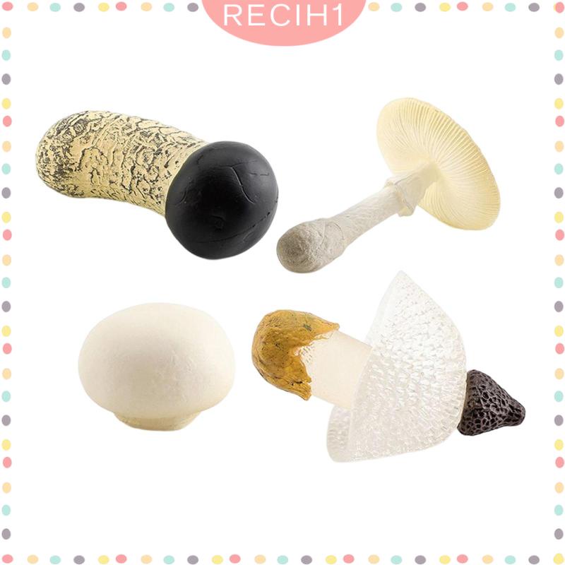 Bộ 4 Mô Hình Nấm Trang Trí Cho Ngày Và Đêm