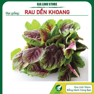 Hạt giống rau dền khoang cao sản dễ trồng