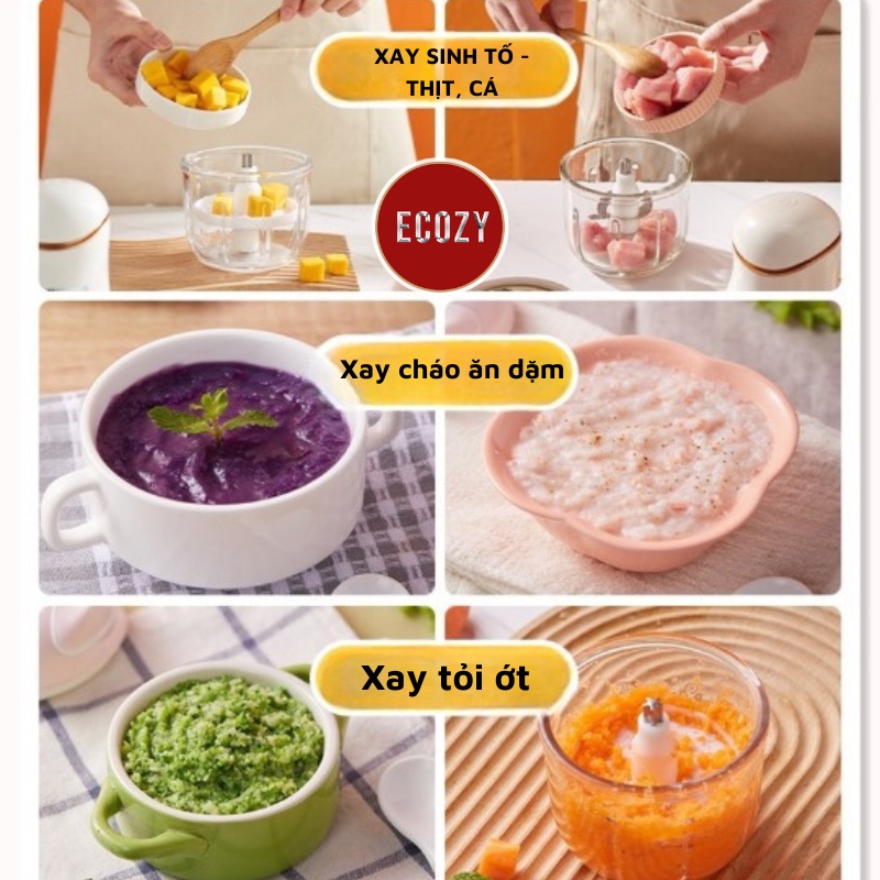 Máy xay mini ECOZY 6 Lưỡi cối thủy tinh máy xay ăn dặm cho bé, xay thịt cháo sinh tố tỏi ớt 300ml