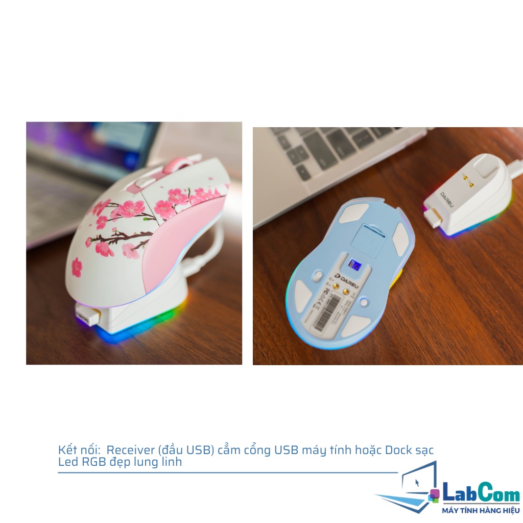 Chuột máy tính không dây chính hiệu DAREU EM901X với 3 màu  siêu nhẹ, Dock sạc siêu nhanh, Led RGB