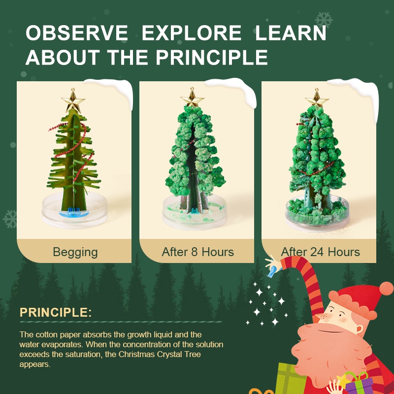 Cây Thông Noel Mini để bàn phủ tuyết Tự Nở Thần Kì Magic Christmas Tree, quà giáng sinh cho bé