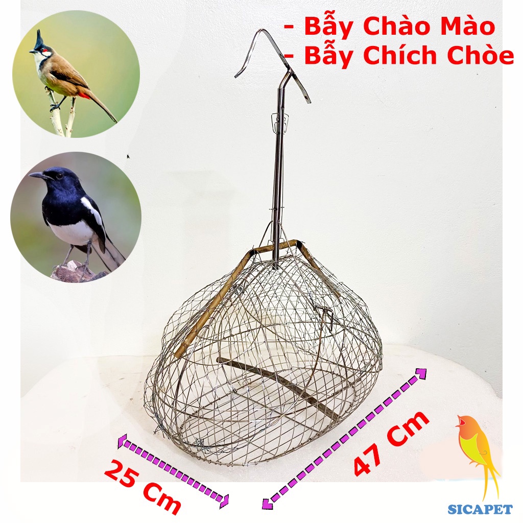 Lồng bẫy chim Chào Mào chất liệu Inox , chim Chòe Than, Lồng bẫy Khuyên - chim hút mật, Bẫy chim nhạy-bền-đẹp SICAPET