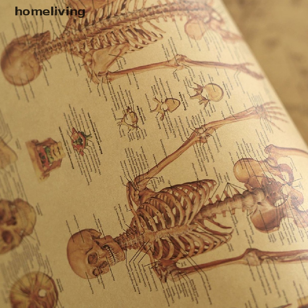 Áp Phích Trang Trí Nội Thất Hình Cột Cột Xoay Người Giải Phẫu Đầu Gối Nghệ Thuật