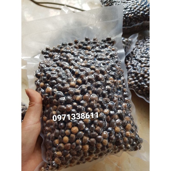 Sét 3kg hạt dẻ rừng điện biên