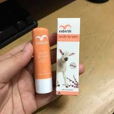 Son nhau thai cừu Rebirth