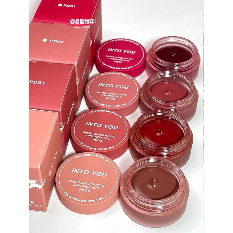 Son Môi + Má Hồng Màu Nhung Lì 5g PD02 + Cọ INTO YOU X Marley