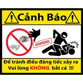 Logo decal cảnh báo vui nhộn dán hồ cá cảnh có keo sẵn nhiều mẫu mã