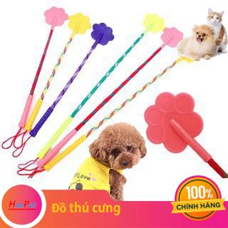 Hanpet.GV- Roi huấn luyện thú cưng biết nghe lời tét đít chó mèo