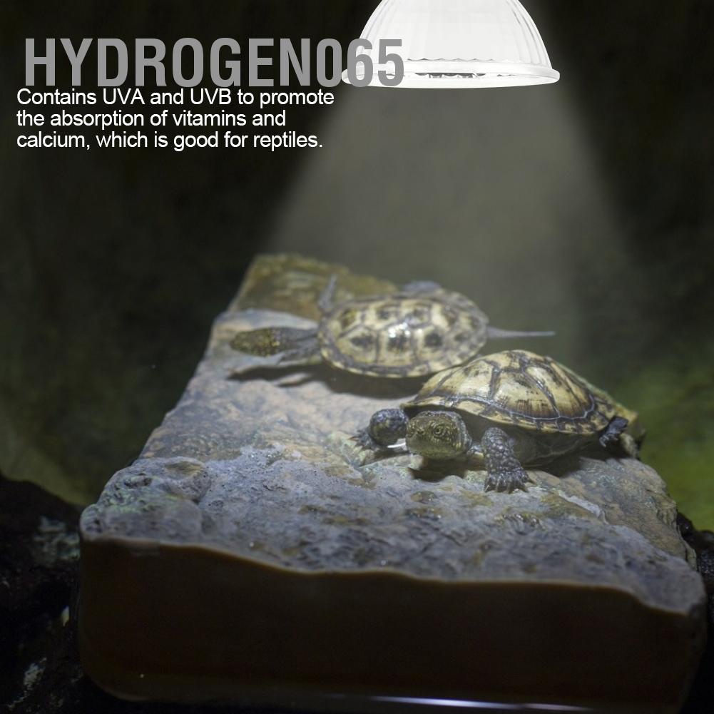 Hydrogen065 Toàn bộ quang phổ UVA UVB Đèn ánh sáng mặt trời sưởi cho loài bò sát nắng Thằn lằn