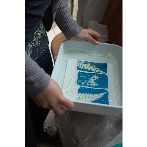 Kit DIY ừ thì Phơi cyanotype, sun print, in tranh từ mặt trời