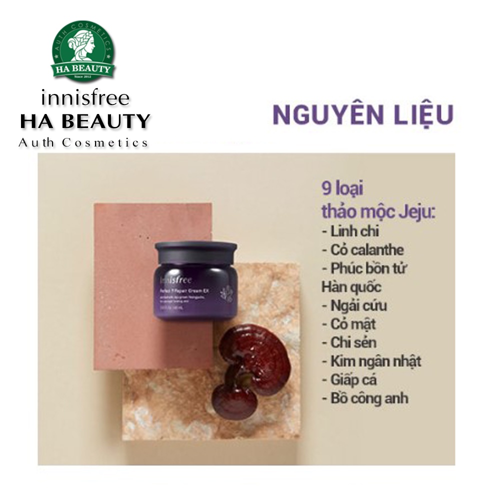 Kem dưỡng chống lão hóa chuyên sâu 9 loại thảo mộc innisfree Perfect 9 Intensive Cream 60 ml