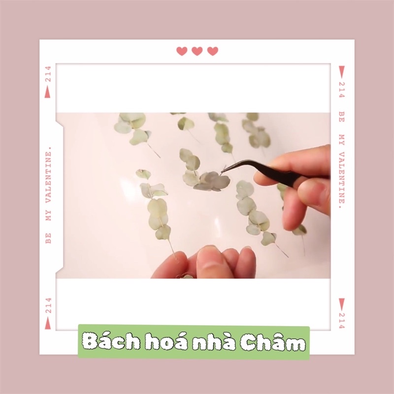 Miếng Dán Trang Trí Hình Hoa Độc Đáo Xinh Xắn