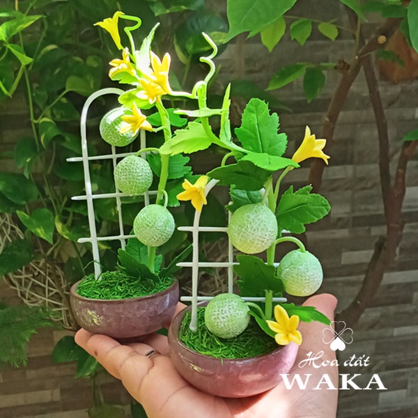 Hoa Đất Sét Mini- Dưa Lưới 15cm