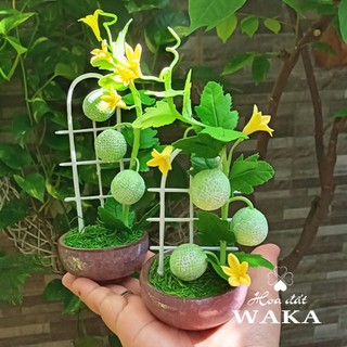 Hoa đất sét mini- dưa lưới