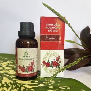 TINH DẦU XÔNG PHÒNG, XỊT PHÒNG