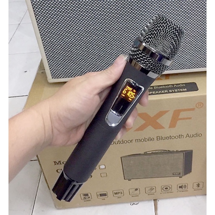Loa karaoke di động CXF GL-8092, kèm theo 2 mic ko dây