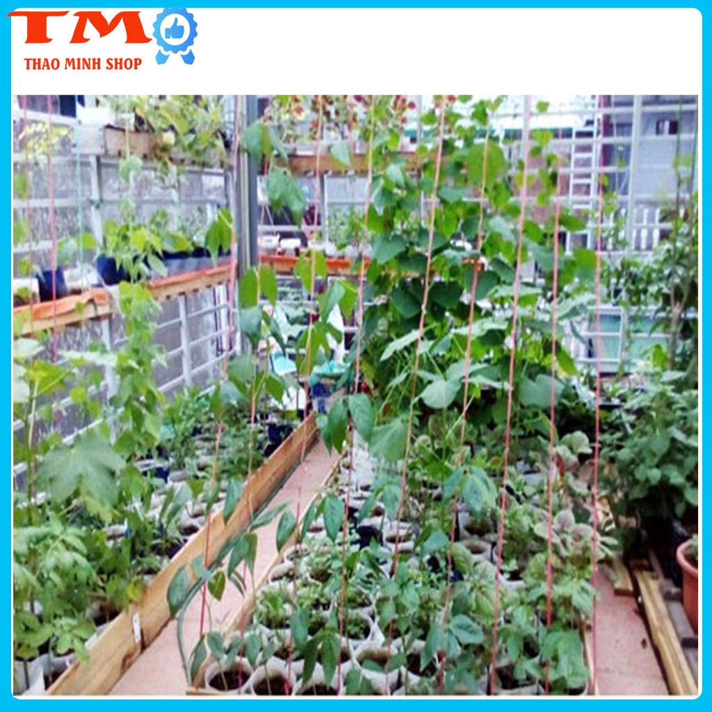 1ký túi 50x30 Túi Trồng Cây thay thế thùng Trồng Rau, trồng gừng, hành bằng Nilong 2 Lớp Trắng Đen Tiện Lợi, Dễ Sử Dụn