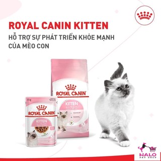 THỨC ĂN ROYAL CANIN KITTEN 36 CHO MÈO 4 THÁNG -1 TUỔI 2kg