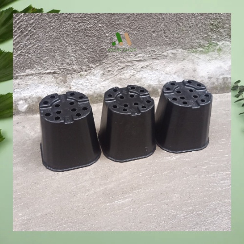 Chậu nhựa đen cứng trồng sen đá, xương rồng size 9x9 giá tại xưởng