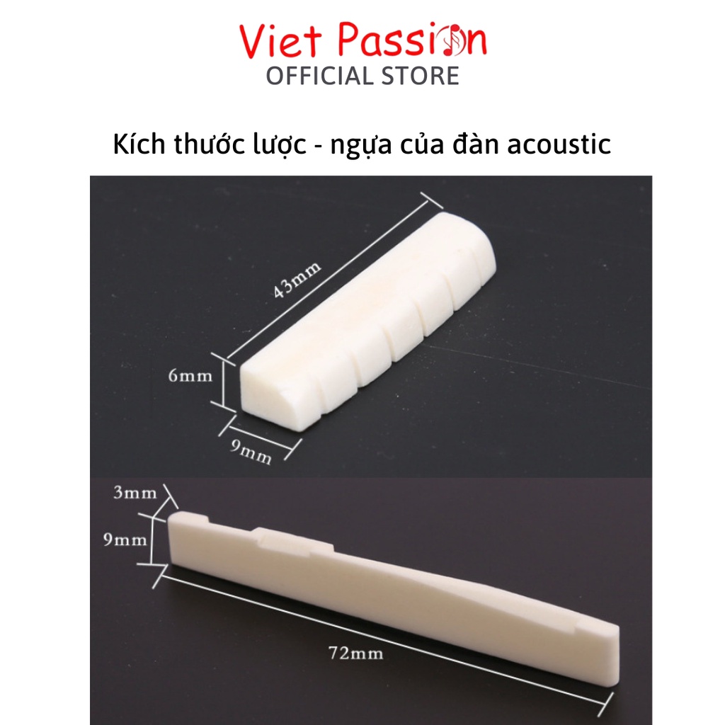 Ngựa lược đàn guitar acoustic xương bò và nhựa đàn ghita dây sắt chất lượng Viet Passion HCM