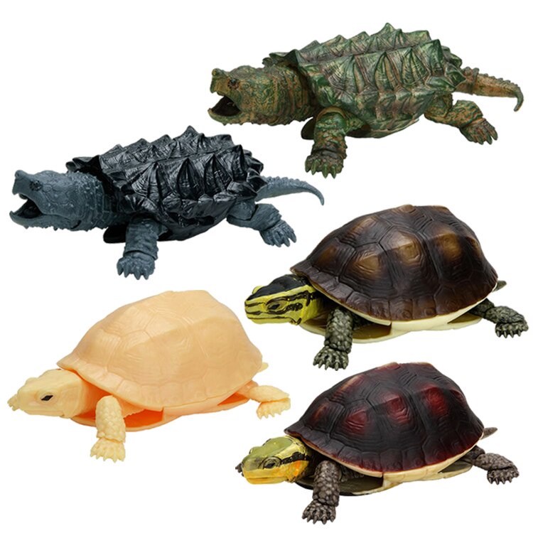Mô hình trứng Gashapon rùa cạn - rùa biển - BANDAI