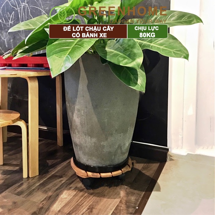 Đế lót chậu cây có bánh xe, R30xC8cm, bằng gỗ, hình vuông, thân thiện môi trường, tiện lợi, chịu lực 80kg |Greenhome