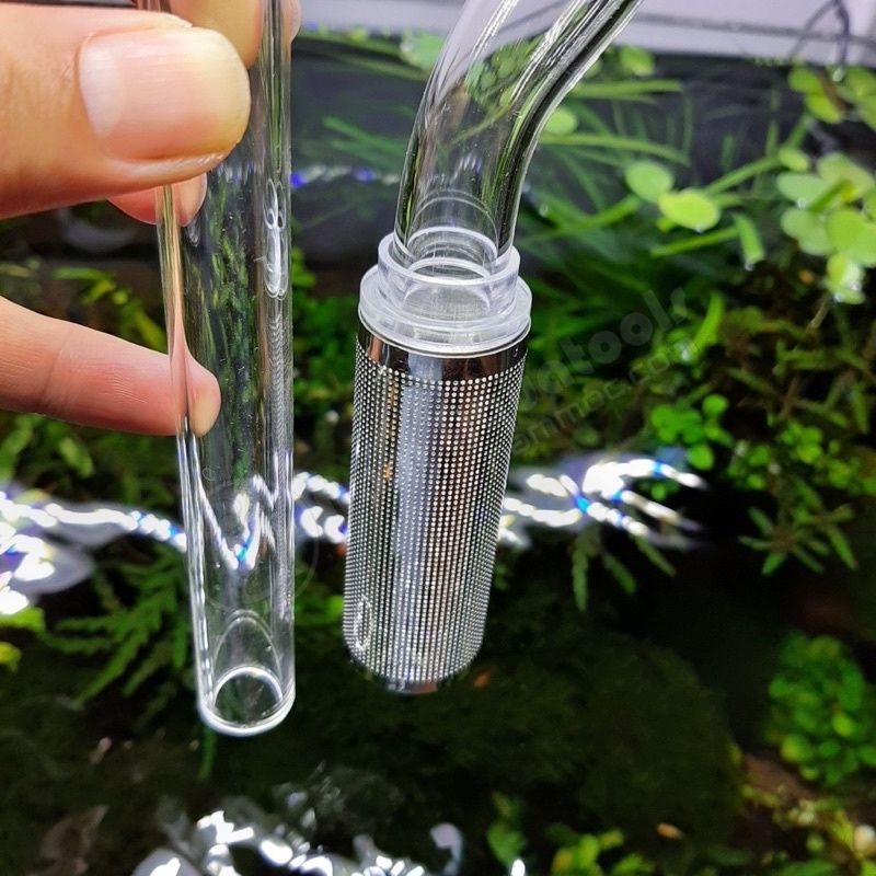 Bịt tép inox Cao cấp