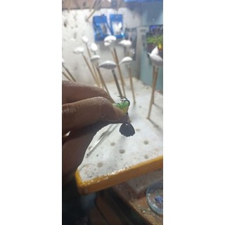nhái hơi mini 3cm lưỡi độ thủ công