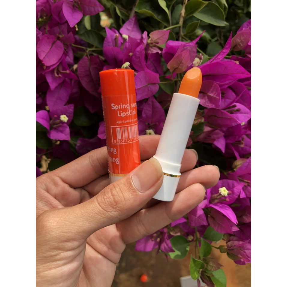 Son gió Thái Lan LIPLIFE Mẫu MỚI