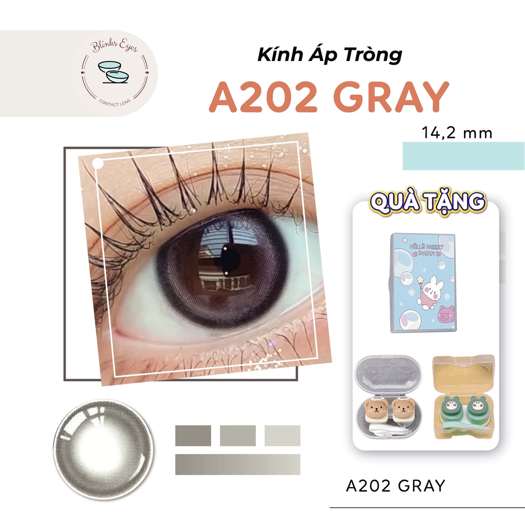 Kính Áp Tròng Lens Mắt Miss Gray BLINKS EYES A202 Màu Xám Long Lanh Cho Mắt Cận 0-8 Độ Dùng Được Trong 6 Tháng