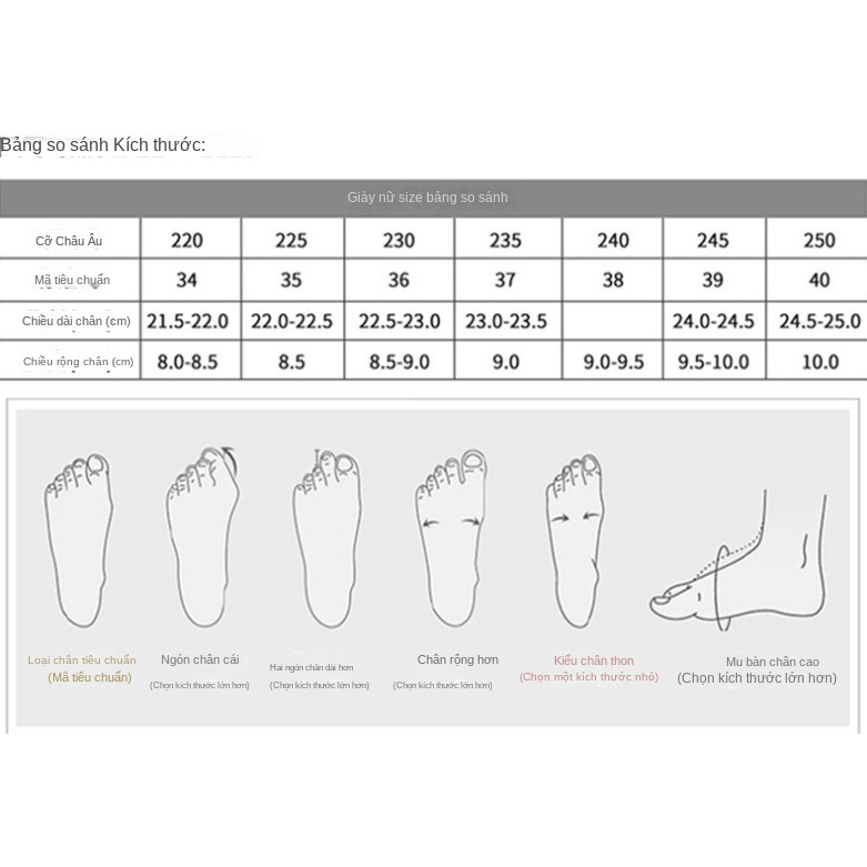 Giày Thể Thao Nữ Thời Trang Hàn Quốc Mới