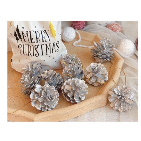 Quả thông khô màu gốc phụ kiện trang trí giáng sinh - Trang trí nhà cửa, Trang trí cây thông dịp noel