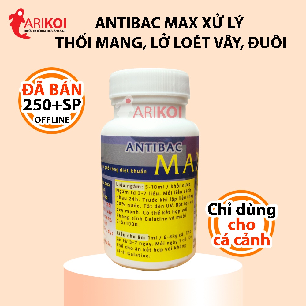 Antibac Max Dung dịch xử lý thối mang, lở loét vây, đuôi ở cá Koi, đục mắt, diệt khuẩn cho cá Rồng và các loại cá cảnh