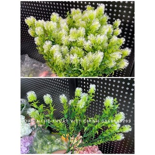 Cành điểm, hoa điểm, trầu cau, lá trầu