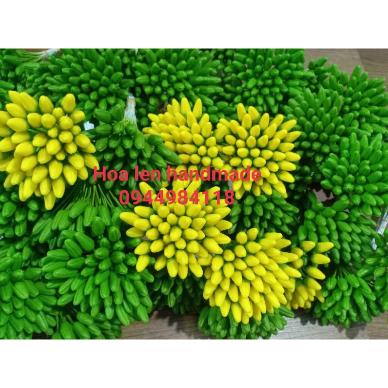 Nụ mai đất sét